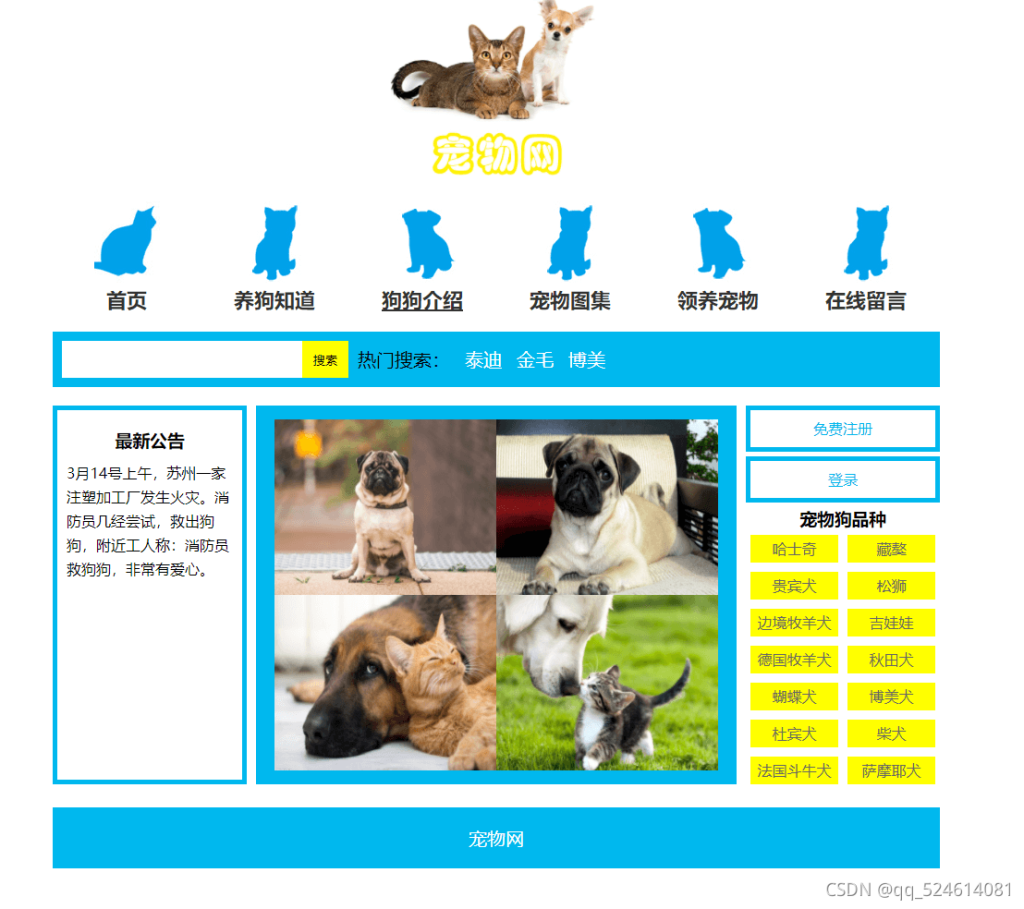 HTML5期末大作业：宠物网网站设计——代码质量好-宠物网(8页) HTML+CSS+JavaScript 学生DW网页设计作业成品 web课程设计网页规划与设计 计算机毕设网页设计源码